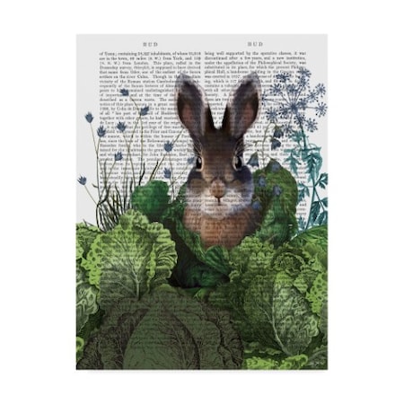 Fab Funky 'Cabbage Patch Rabbit Text 4' Canvas Art,35x47